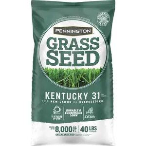 Pennington Seed 7016746 40 lbs Kentucky 31 Tall Fescue Medium Shade Grass Seed