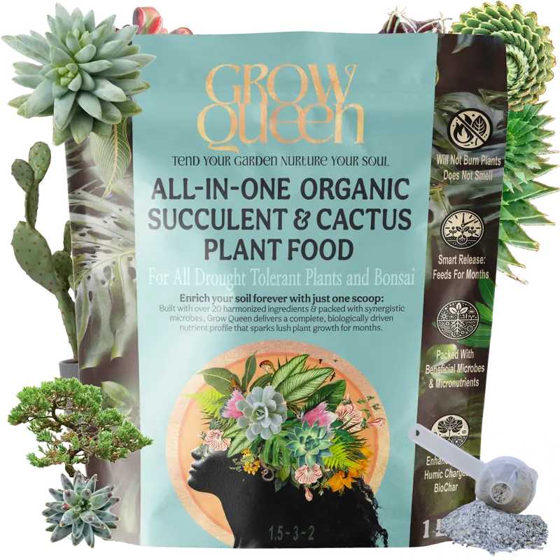 succulent soil walmart - TikTok Shop