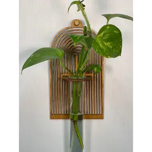 Arch Propagation Vase