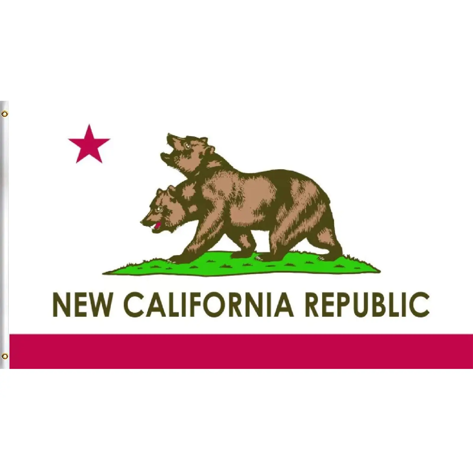 New California Republic 3x5Ft Flag Tapestry Wall Hanging with 2 Brass Grommets, for Indoors College Dorm Decor, Outdoor Backdrop Banner (Home & Festive Party Supplies)
