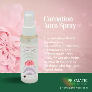 Carnation Aura Spray