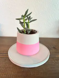2 Tone- Cement Planter