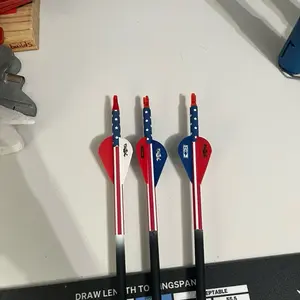 Dozen(12) Custom Arrows