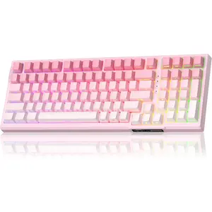SKY98  Gasket Mechanical Gaming Keyboard, 96% Hot Swappable RGB Custom Creamy Keyboard with 5-Layer Sound Padding, BT/2.4G/USB-C, Side Printed Keycaps (&White, Violet )