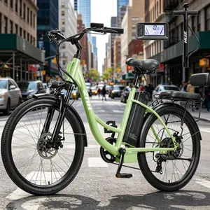 ZNH-19 Adult Electric Bike, 24 Inch Tire 750W Motor, 48V 13Ah Lithium Battery, Max 20MPH Speed, 50 Miles Long Range, 7-Speed Commuter E-Bike