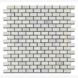 Calacatta Prestige (Asian Statuary) Baby Brick 5/8x1 1/4 Polished/Honed Tile