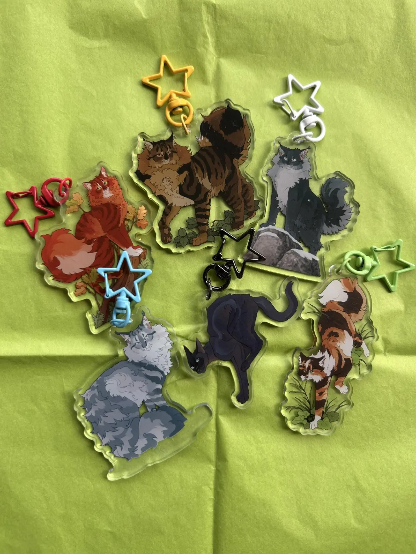 The New Prophecy Warrior Cat Keychains