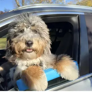 Dog Car Window Chin Rest, One Pack Contains 1 Piece, Comfortable Pet Accessory for Travel, Durable Dog Seatbelt Extender