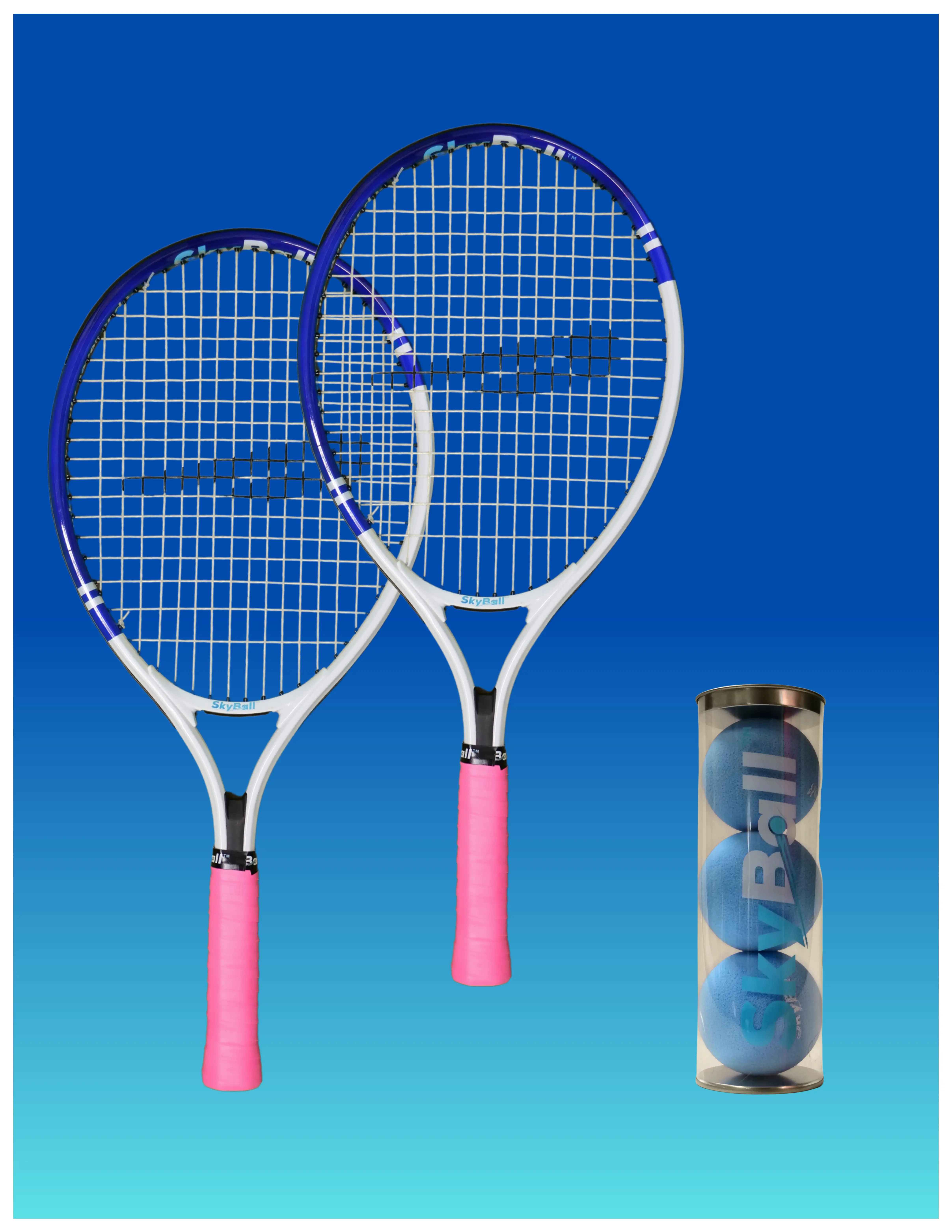 SkyBall Essentials Starter | Everything you need to play SkyBall on a pickleball court!