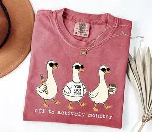 Comfort Colors Test Day Goose Shirt, You Got This Teacher Tee, Off To Actively Monitor, School Testing Humor Shirt, Back to School Gift