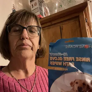 HONEYCARE: All-Absorb Pet Glove Wipes for All Pets | Dogs & Cats | Hypoallergenic | No Foam | Disposable No Rinse Shampooing Gloves