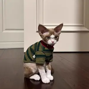 New Spring & Summer Striped Two-Leg Cat Clothes, Cute Vest for Sphynx, Blue Cat, Ragdoll & Kittens