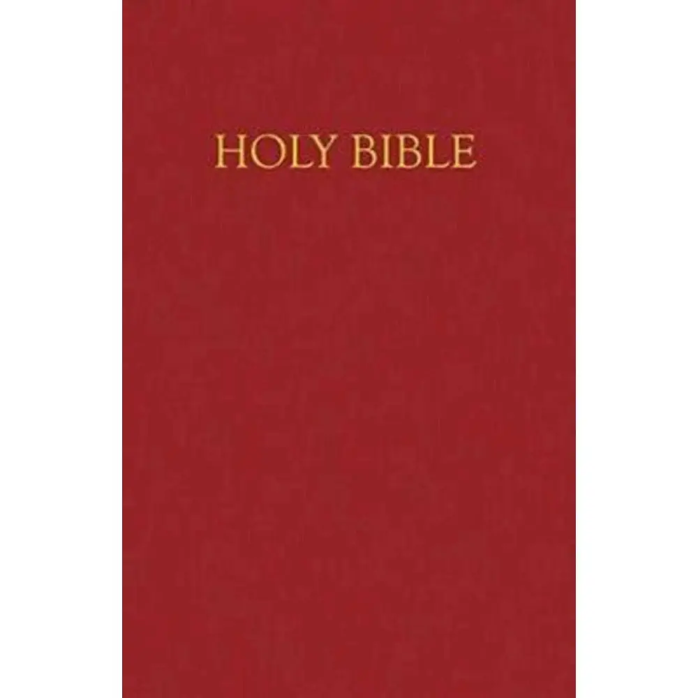USED-Children's Bible-NRSV-Gift & Award by abingdon-press (Imitation Leather)