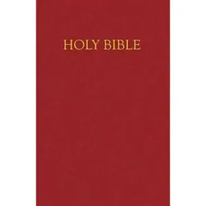 USED-Children's Bible-NRSV-Gift & Award by abingdon-press (Imitation Leather)