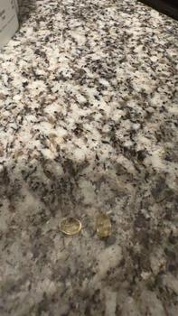 product review image from GreenLady 3