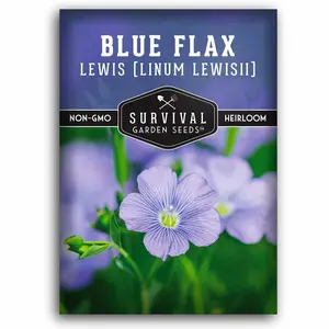 Lewis Blue Flax Seeds - Drought Tolerant Perennial
