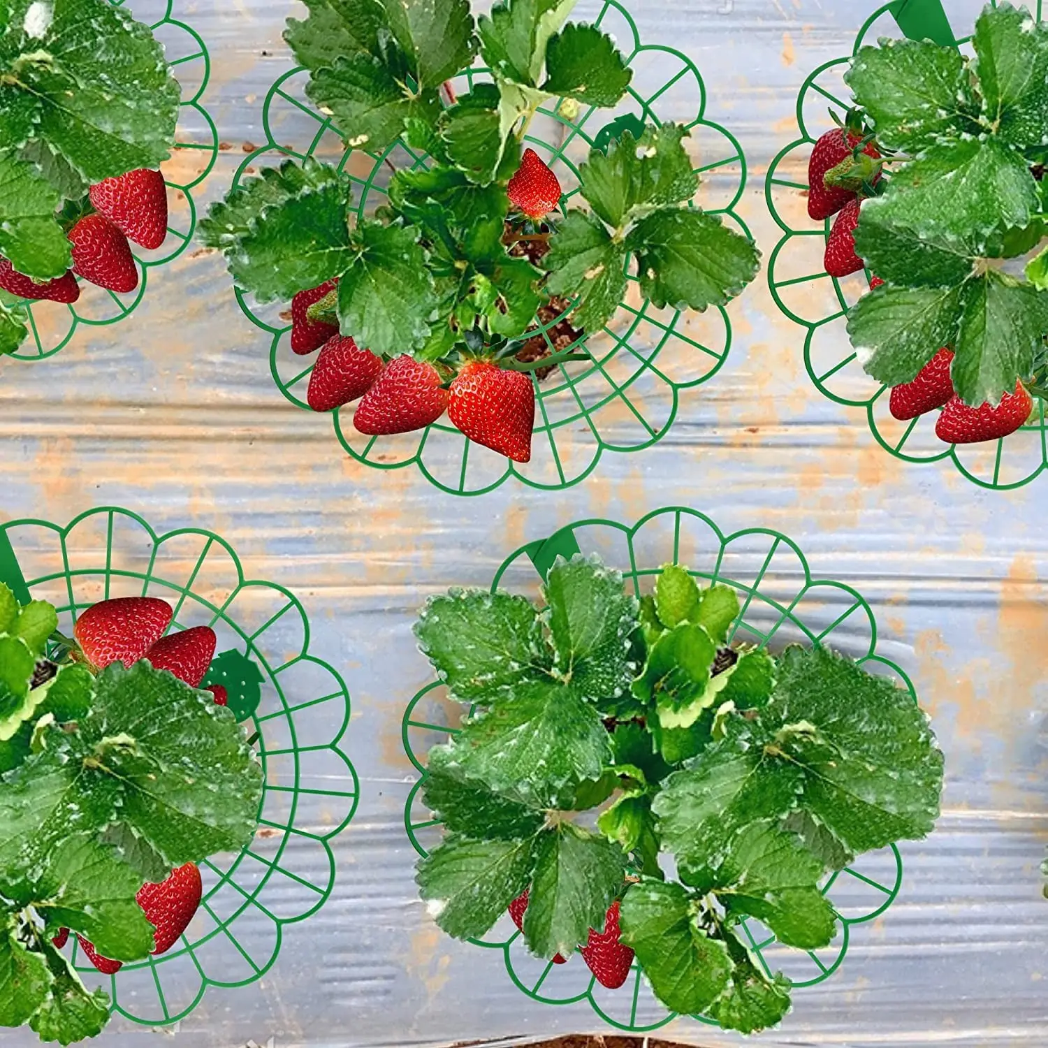 Strawberry Planting Rack Set, Plant Stand, Plant Riser, 1/3/6/10 Pieces with 3 Sturdy Legs, Elevates Fruit to Prevent Rot, Ideal for Home Gardening