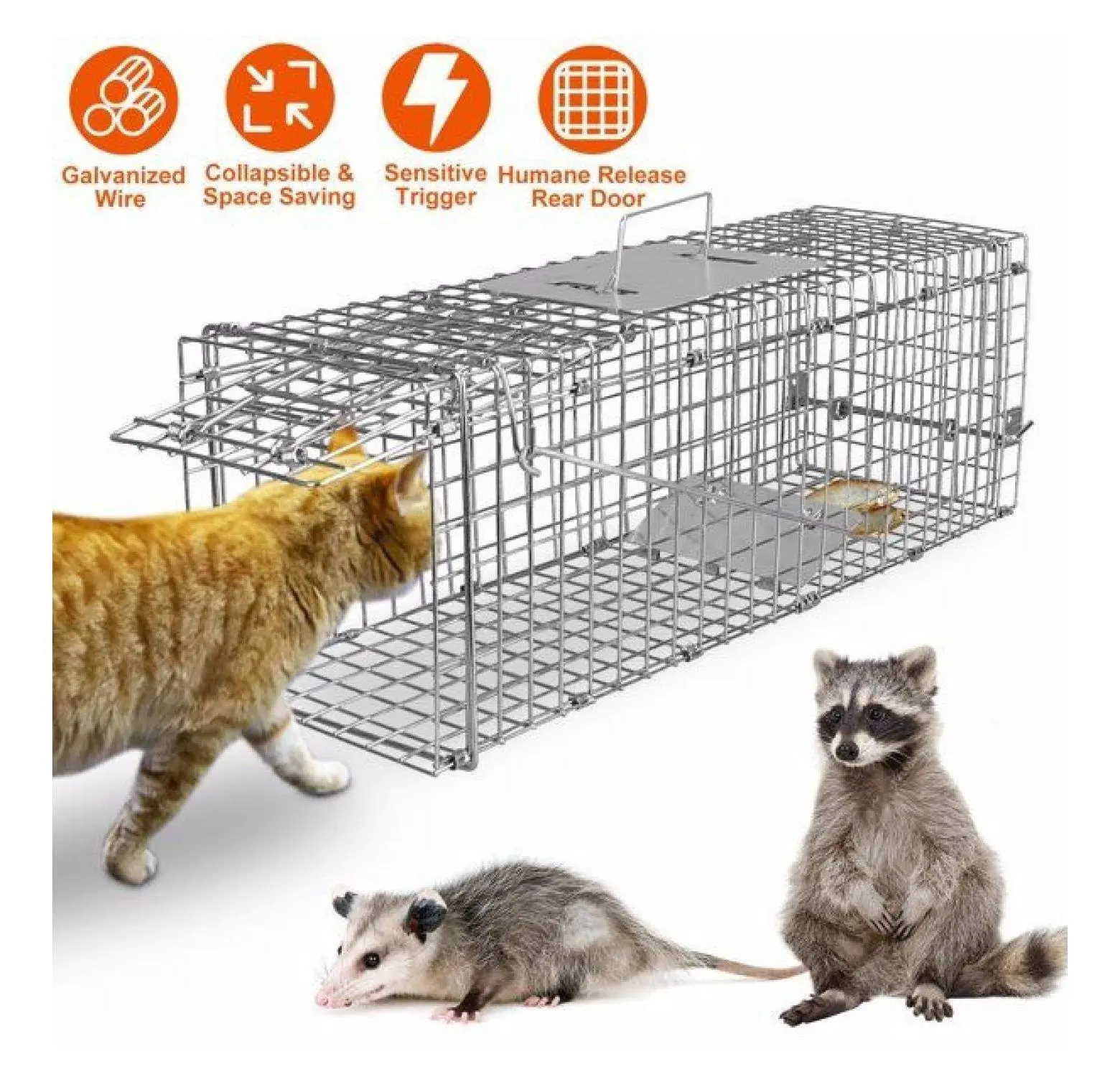 Cat Trap Cage - Humane Live Animal Trap for Raccoons, Foxes, Groundhogs, Armadillos - Collapsible Galvanized Wire Cage for Catch and Release as picture