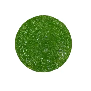 Green Mini crystal discs Remeltable Picky Pad with Reusable Tray for Anxiety ADHD Skin Picking Soft Soothing Texture Microwavable Unisex Fidget Fun