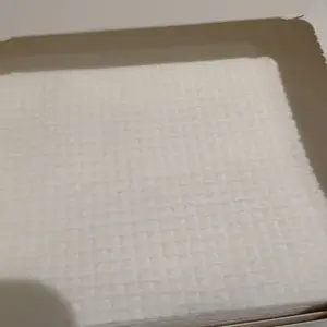 Welsteepe 50 Count XL Ultra Soft Biobased Face Tissue & Towel for Sensitive Skin, Hypoallergenic Cleansing Wipes for Travel & Home Use, 10x12 Inch Portable Disposable Towelettes