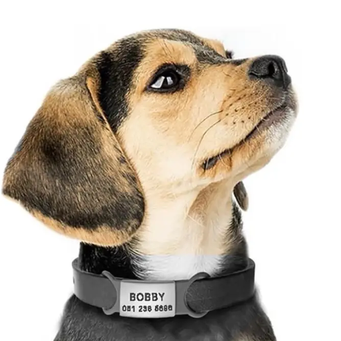 Slide on Personalized Pet Tags- Laser Engraved- Stainless Steel- Slide on Horizontal - Silent- We Engrave Any Pet Info! pettag dog id