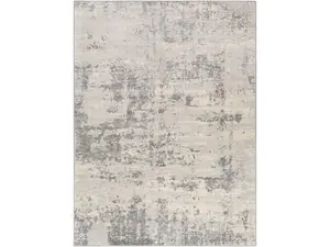 Livabliss MOC2311-710103 Monaco Area Rug - 7 ft. 10 in. x 10 ft. 3 in., Silver Gray, Medium Gray & Cream, Rugs Large Whole Area, Indoor, Medium Pile