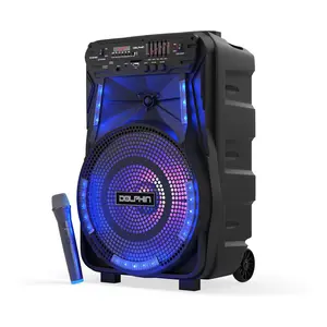 Bluetooth Party Speaker with Lights, Mic, Wheels – Rechargeable, Wireless Audio System for Events, DJs, Karaoke & Outdoors