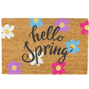 Hello Spring Doormat, Cute Doormat, Welcome Mat, Cute Flower Doormat