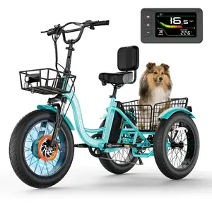 MOPHOTO Electric Tricycle for Adults, 20" x 4" Fat Tire Electric Trike, 48V 500W Motorized 3 Wheels 7 Speed Ebike with Removable Battery & Large Basket