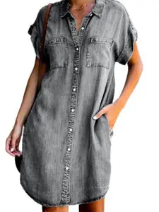Ryde Denim Shirt Dress