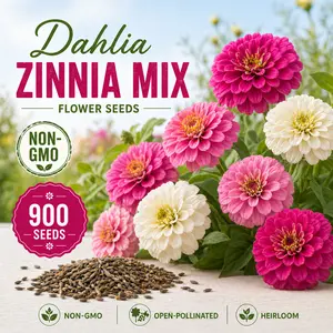 Dahlia Zinnia Flower Mix Seeds Non-Gmo Heirloom Flower Seeds Approx 900 Seeds Per Packet