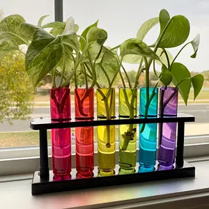 6-Color Transparent Test Tube Vase Plant Container with Stand, Hydroponic Plant Container, Creative Propagation Container, Science Theme Instrument, Christmas Gift, Hydroponic(plant) Growing System(full) Kit, Hydroponic Tower, Grow A Garden