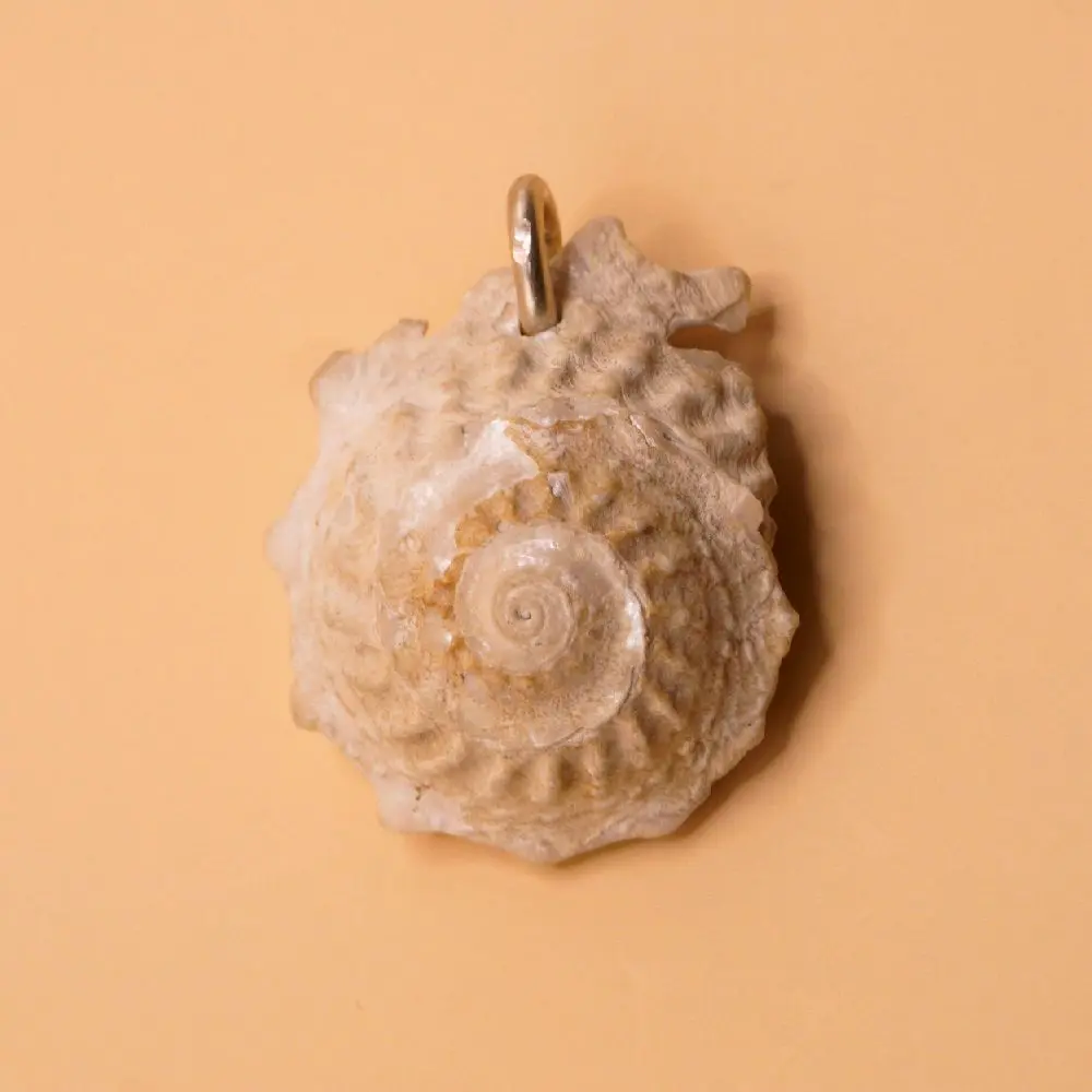 Pearl Delphinula Shell Pendant