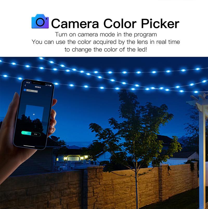 Dreamcolor Rgb Led Strip WS2812B Bluetooth Smart String Fairy Lights Christmas Garland Light Waterproof for Party Curtain Room
