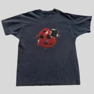 Ladybug Heart Graphic Tee, Cute Vintage Inspired Shirt, Retro Y2K Aesthetic, Unisex Casual Tee