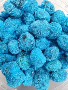 Bubble Gum Flavored Gushies