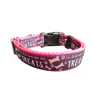 Here For The Treats Hot Pink Nylon Dog Collar MD, LG, XL, Leash