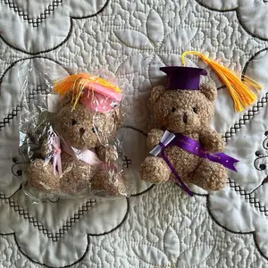 Mini Graduation Bear Plushies, Complete with Graduation Hat, Sash, and Diploma