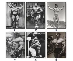 NEW! Mike Mentzer Poster – Bodybuilding Gym Wall Art Fitness Sports Print