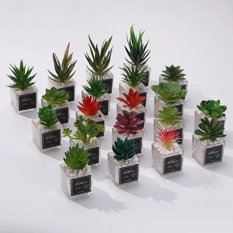 High-Quality Glass Pot Fake Succulent Plant, Healing Desk Decor, Rent Home Decoration, Wedding Photography Prop Greenery