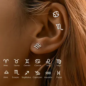 Minimalist Glossy 12 Constellation Stud Earrings Elegant Ear Piercing Jewelry Set