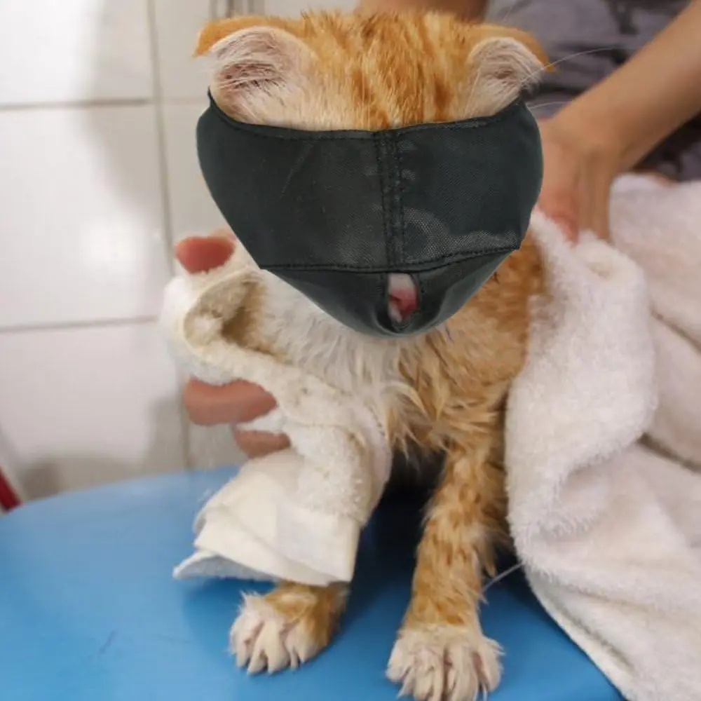 Nylon Cat Muzzle, Face Mask, Groomer Helper, Grooming Tools for Preventing Scratches and Anti-Biting, Black (L) Xbes