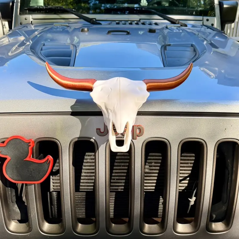 Cow skull
