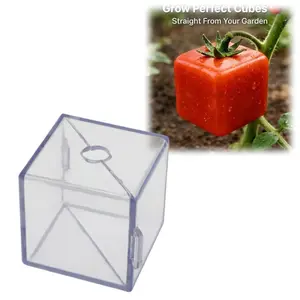 Molds for Cultivating Uniquely Shaped Fruits—Designed to Create Distinctive Shapes for a Variety of Fruits, Including Strawberries, Tomatoes, Pears, Cucumbers, and More.
