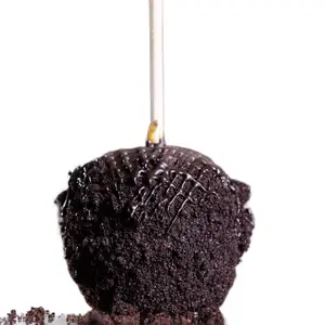Dark Chocolate Decadence Gourmet Caramel Candy Apple
