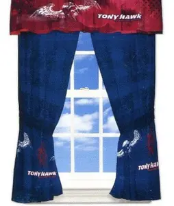Tony Hawk Window Panels