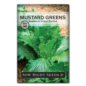 Southern Giant Curled Mustard Greens Seeds