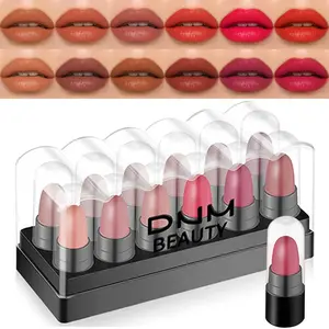 12Pcs Mini Capsule Makeup Lipstick Pills Set, Lápiz Labial Rojo Matte Lipstick Lip Stain Set Women Nude Brown Dark Red Matte Matt Lipsticks Cute Lip Stick Purse Set