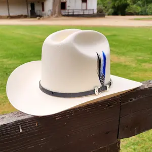 Chaparral 3" Brim Sombrero Cowboy Hat - Tombstone 5000X