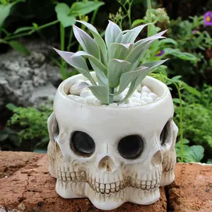 Halloween Skull Design Flower Pot, Creative Skull Design Flower Pot, Succulent Pot, Home Decor for Living Room Bedroom Garden